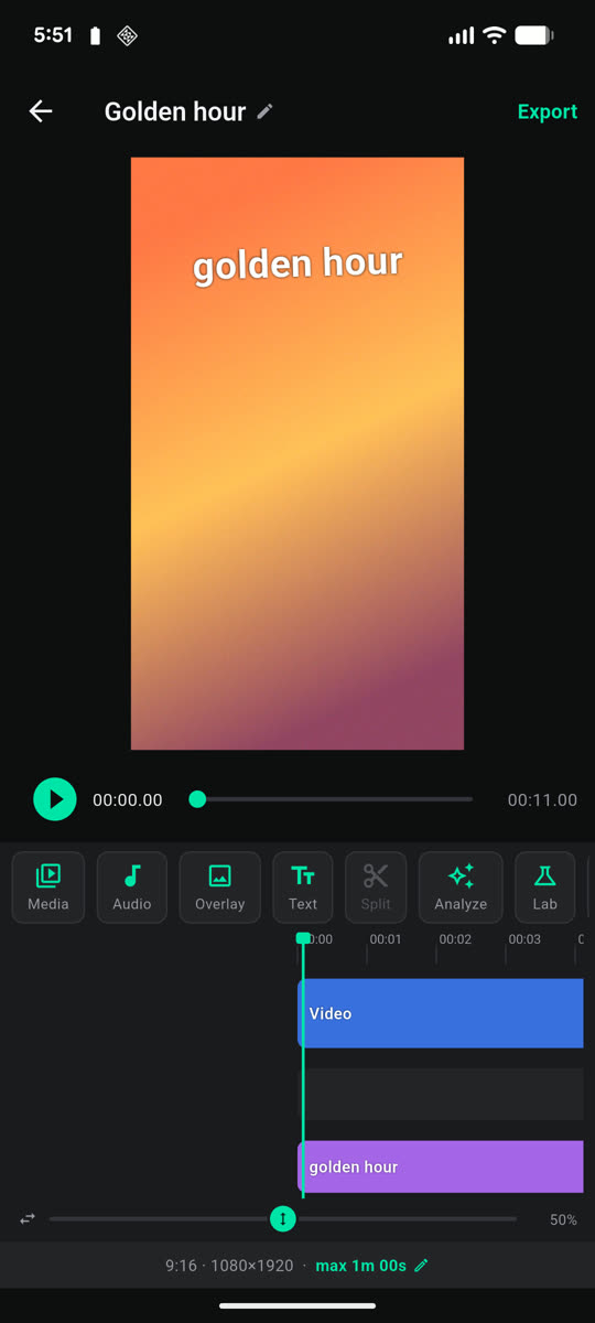 The Reeledit editor: a vertical video preview with a text overlay, above a timeline showing video and overlay tracks.