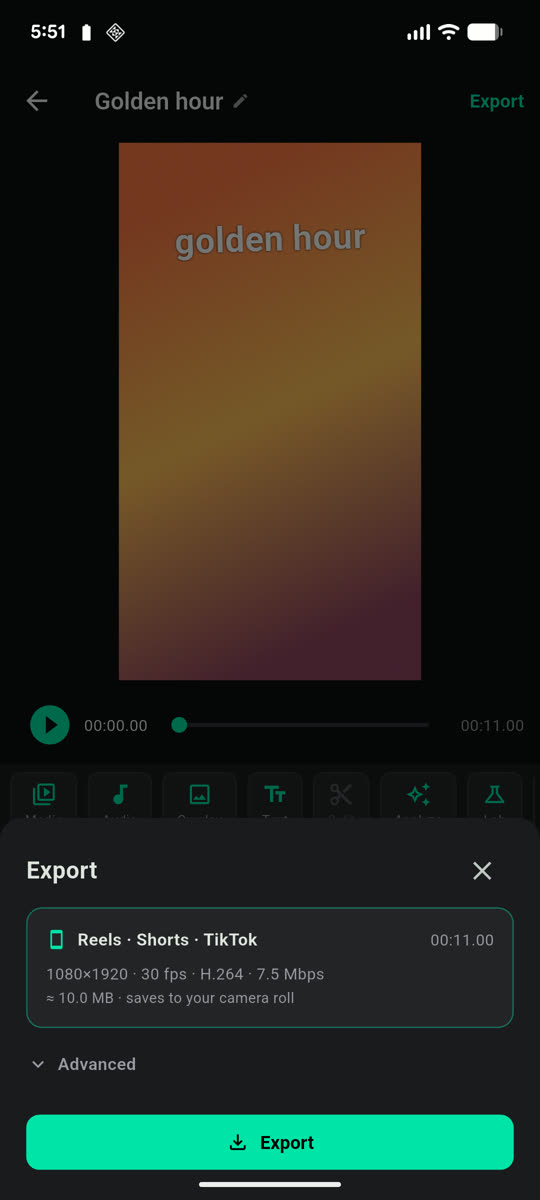 The export sheet, offering a Reels, Shorts and TikTok preset at 1080x1920, 30fps, saving to the camera roll.